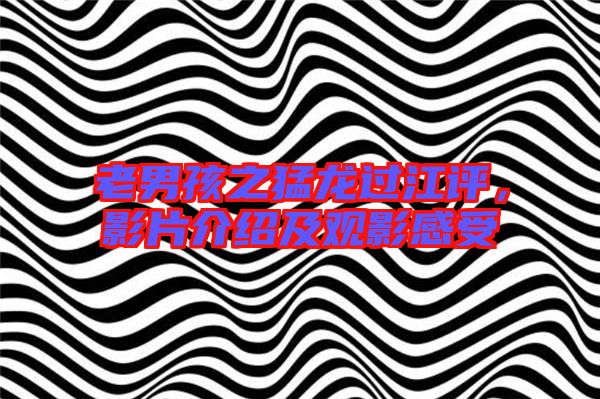 老男孩之猛龍過江評，影片介紹及觀影感受