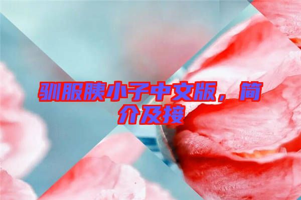 馴服胰小子中文版,簡介及接