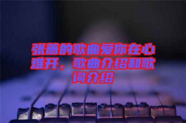 張薔的歌曲愛你在心難開,歌曲介紹和歌詞介紹