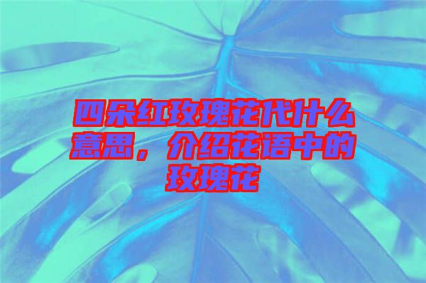 四朵紅玫瑰花代什么意思,介紹花語(yǔ)中的玫瑰花