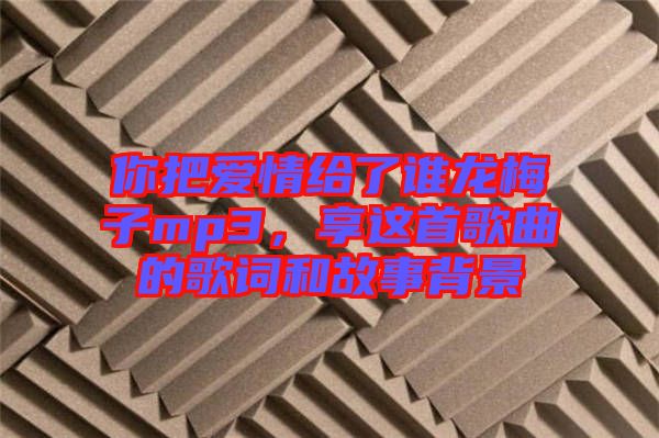 你把愛情給了誰龍梅子mp3,享這首歌曲的歌詞和故事背景