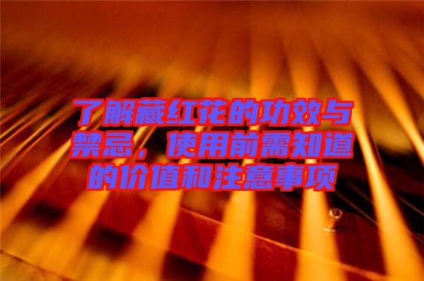 了解藏紅花的功效與禁忌,使用前需知道的價值和注意事項