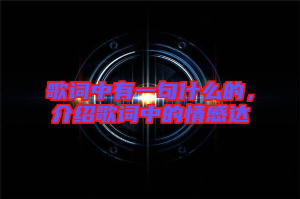 歌詞中有一句什么的,介紹歌詞中的情感達