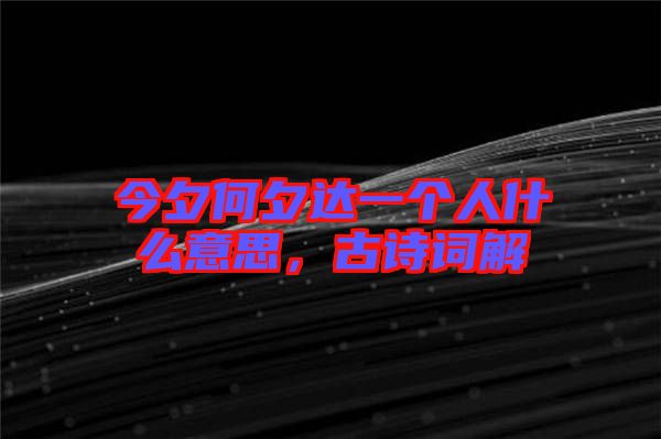 今夕何夕達(dá)一個(gè)人什么意思,古詩詞解