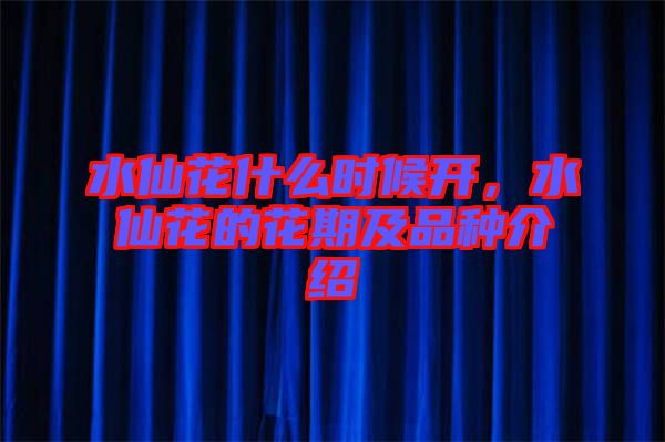 水仙花什么時候開,水仙花的花期及品種介紹