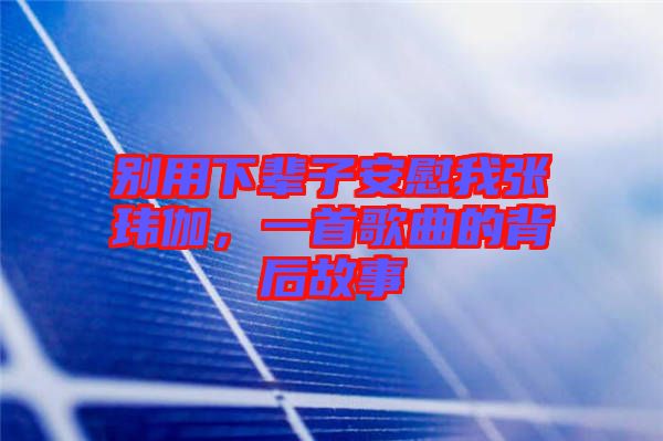 別用下輩子安慰我張瑋伽,一首歌曲的背后故事