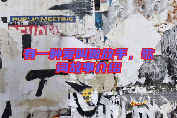 有一種愛叫做放手,歌詞故事介紹