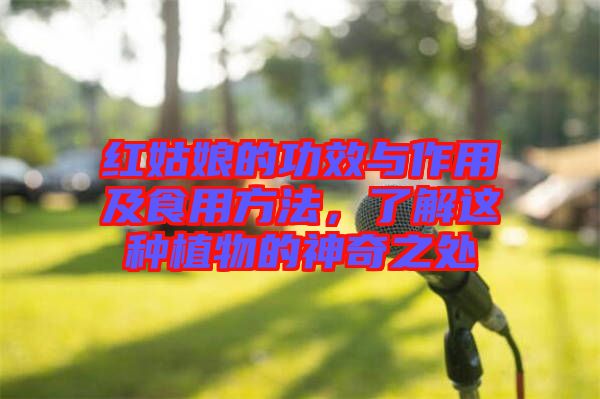 紅姑娘的功效與作用及食用方法,了解這種植物的神奇之處