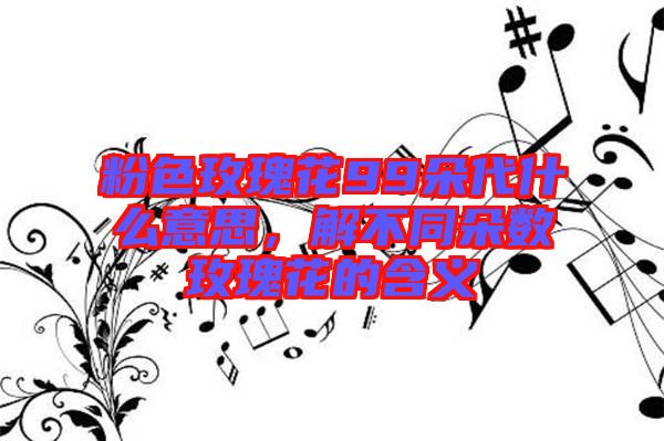 粉色玫瑰花99朵代什么意思,解不同朵數玫瑰花的含義