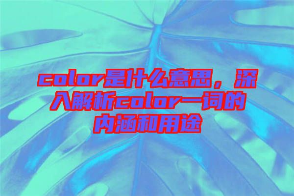 color是什么意思,深入解析color一詞的內(nèi)涵和用途