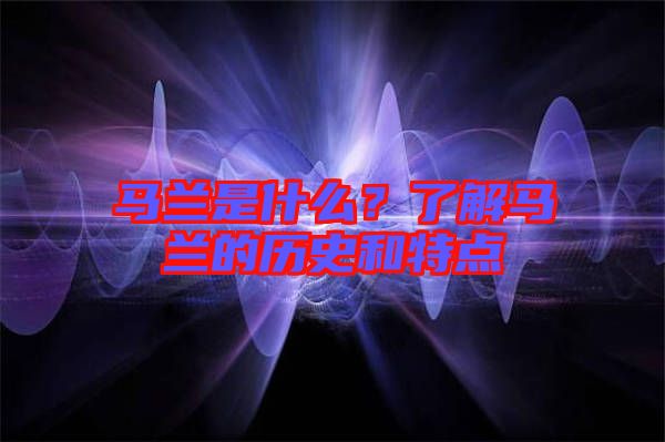 馬蘭是什么?了解馬蘭的歷史和特點
