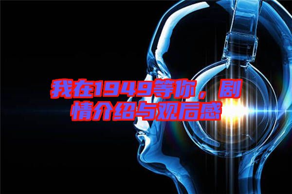 我在1949等你,劇情介紹與觀后感