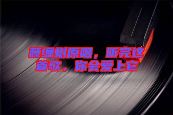 藤纏樹原唱,聽完這首歌,你會愛上它