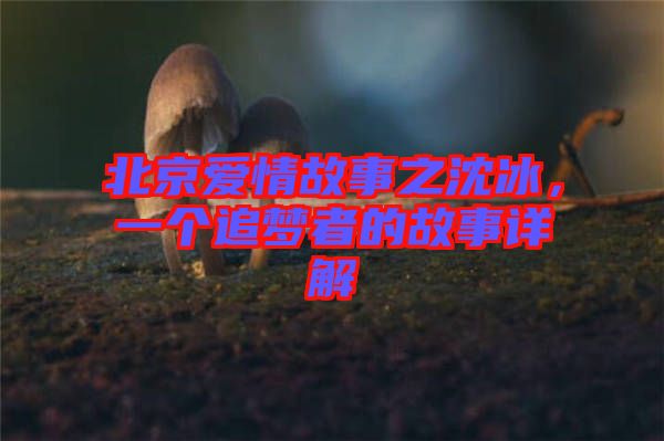 北京愛情故事之沈冰,一個追夢者的故事詳解