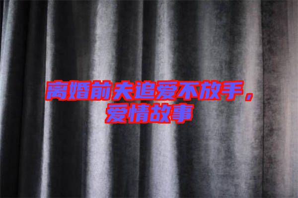 離婚前夫追愛不放手,愛情故事