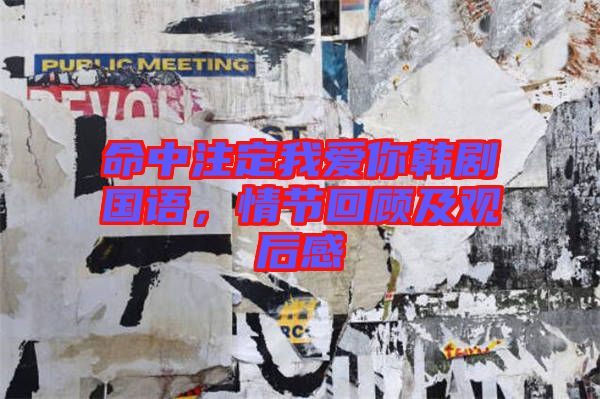 命中注定我愛你韓劇國語,情節回顧及觀后感