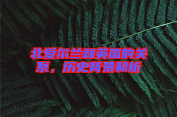北愛爾蘭和英國的關(guān)系,歷史背景和析