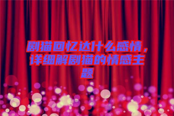 劇貓回憶達什么感情,詳細解劇貓的情感主題