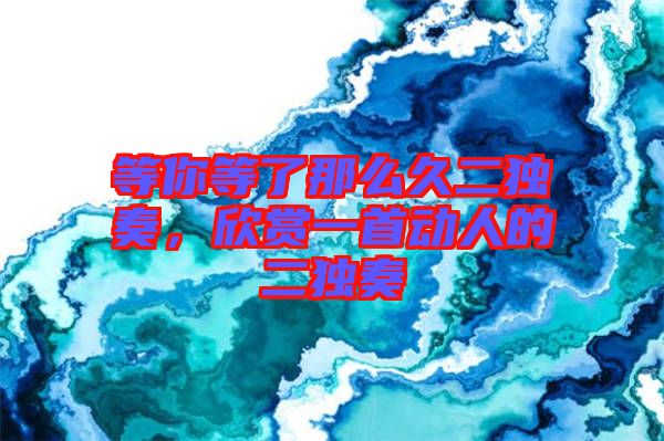 等你等了那么久二獨奏,欣賞一首動人的二獨奏