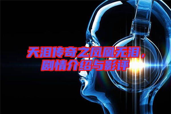 天淚傳奇之鳳凰無淚,劇情介紹與影評