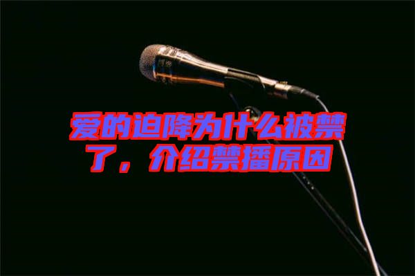 愛的迫降為什么被禁了，介紹禁播原因