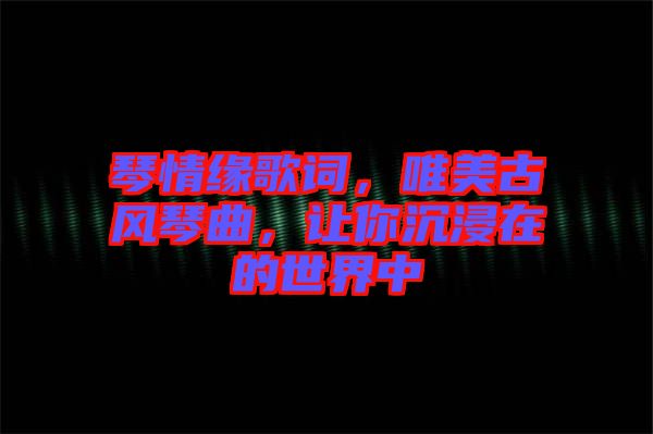 琴情緣歌詞,唯美古風琴曲,讓你沉浸在的世界中