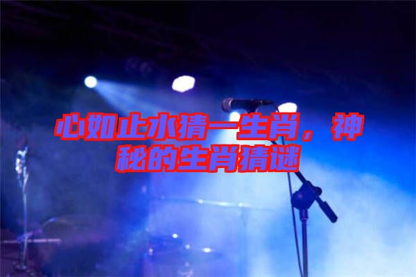 心如止水猜一生肖,神秘的生肖猜謎