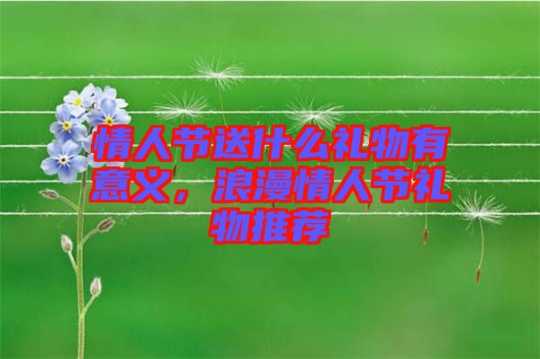 情人節(jié)送什么禮物有意義,浪漫情人節(jié)禮物推薦