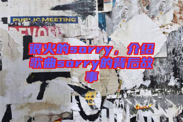 很火的sorry，介紹歌曲sorry的背后故事