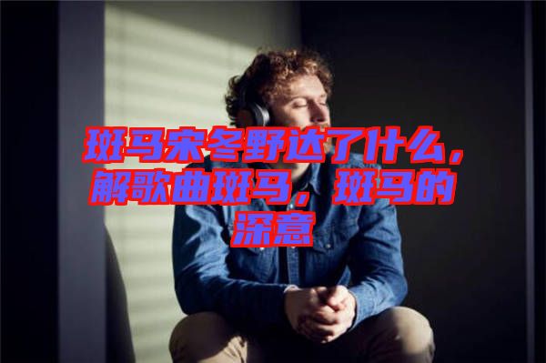 斑馬宋冬野達了什么，解歌曲斑馬，斑馬的深意