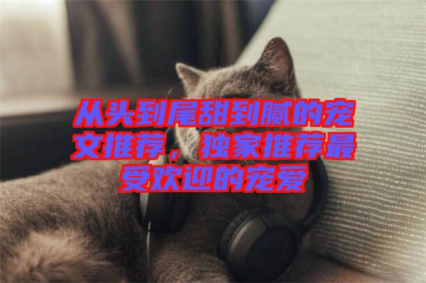從頭到尾甜到膩的寵文推薦,獨家推薦最受歡迎的寵愛
