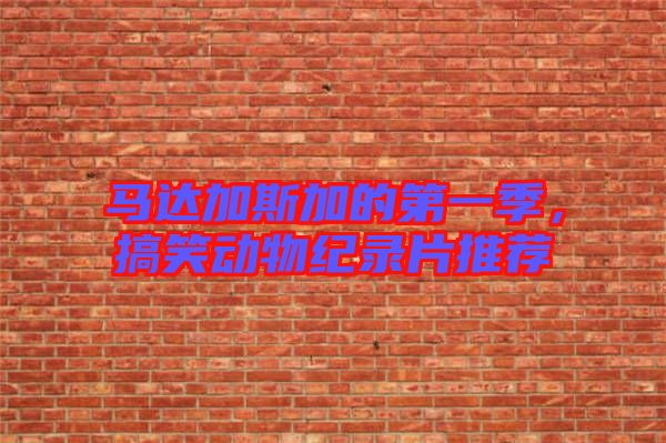 馬達加斯加的第一季，搞笑動物紀錄片推薦