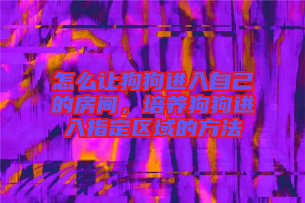 怎么讓狗狗進入自己的房間,培養狗狗進入指定區域的方法