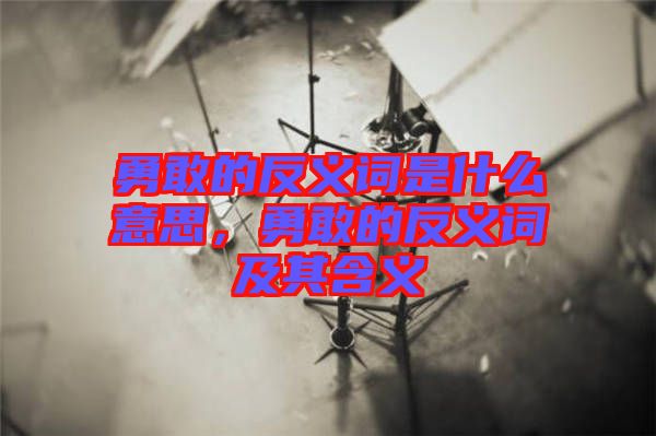 勇敢的反義詞是什么意思,勇敢的反義詞及其含義