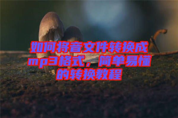 如何將音文件轉換成mp3格式,簡單易懂的轉換教程