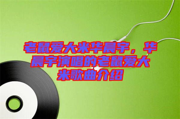 老鼠愛大米華晨宇,華晨宇演唱的老鼠愛大米歌曲介紹