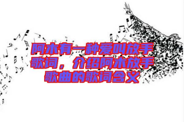 阿木有一種愛叫放手歌詞,介紹阿木放手歌曲的歌詞含義