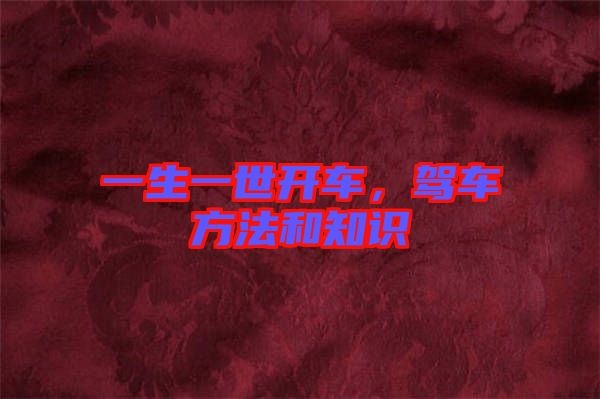 一生一世開車,駕車方法和知識