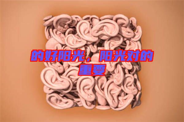 的好陽(yáng)光,陽(yáng)光對(duì)的重要