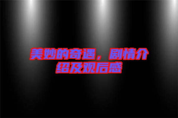 美妙的奇遇,劇情介紹及觀后感