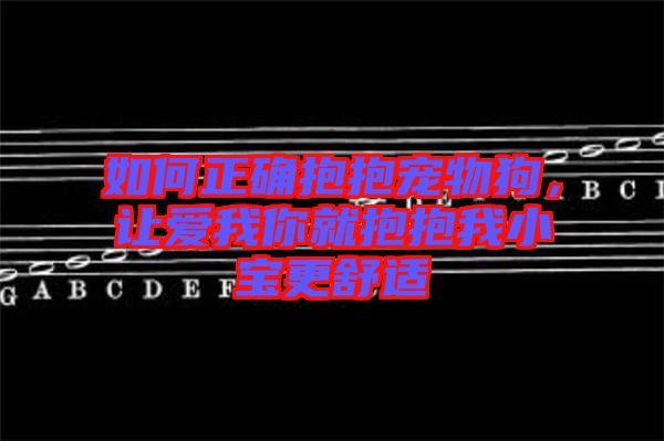 如何正確抱抱寵物狗,讓愛我你就抱抱我小寶更舒適