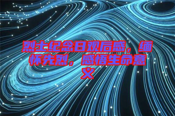 烈士紀念日觀后感,緬懷先烈,感悟生命意義