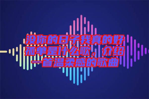 沒你的日子我真的好孤單是什么歌,介紹一首溫柔感的歌曲