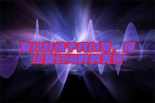 夏日傾情予我白鷺,描繪夏日湖畔的美景