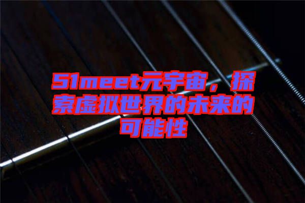 51meet元宇宙,探索虛擬世界的未來的可能性