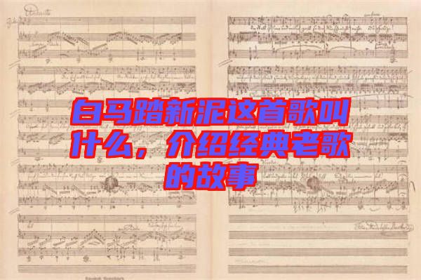 白馬踏新泥這首歌叫什么,介紹經(jīng)典老歌的故事