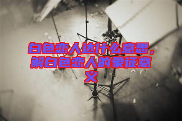 白色戀人達(dá)什么意思,解白色戀人的象征意義