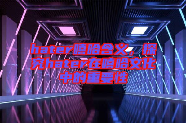 hater嘻哈含義,探究hater在嘻哈文化中的重要性