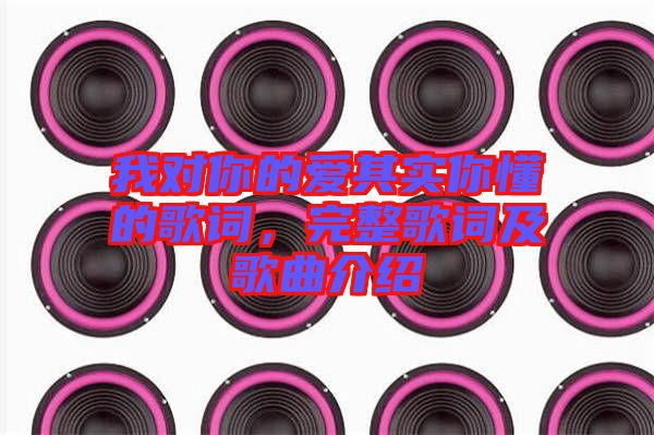 我對你的愛其實你懂的歌詞,完整歌詞及歌曲介紹