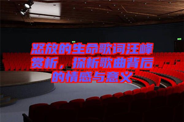 怒放的生命歌詞汪峰賞析,探析歌曲背后的情感與意義